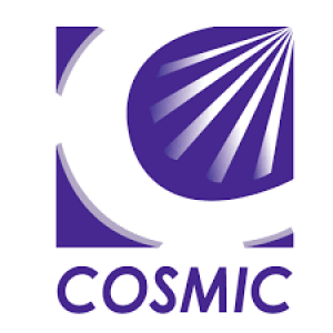 Cosmic Pharma Ltd.