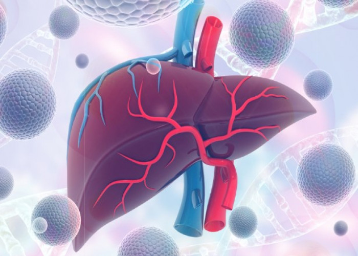 Toxic hepatitis