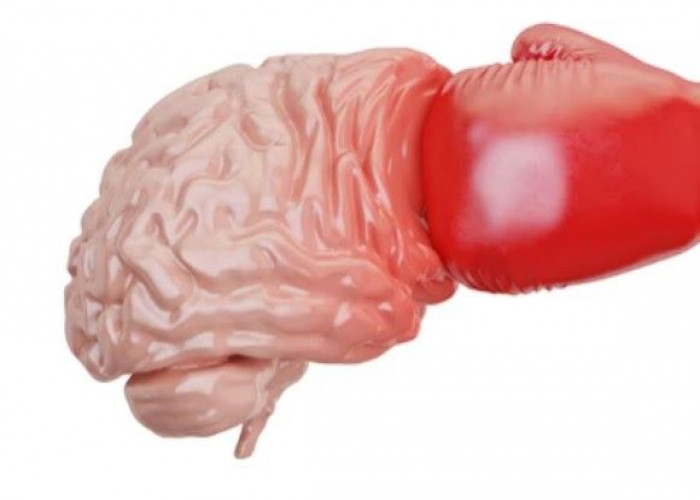Chronic traumatic encephalopathy