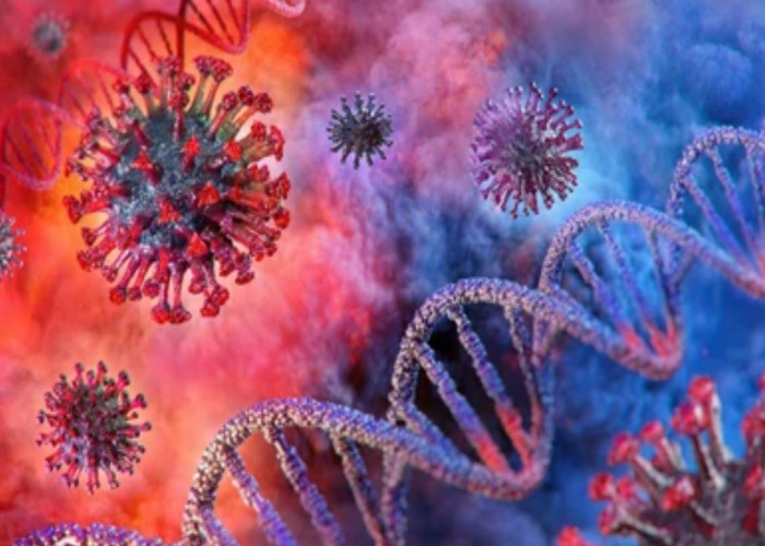 Coronavirus disease 2019 (COVID-19)