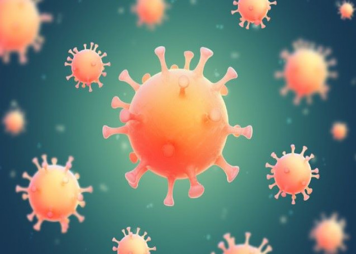 Ebola virus and Marburg virus