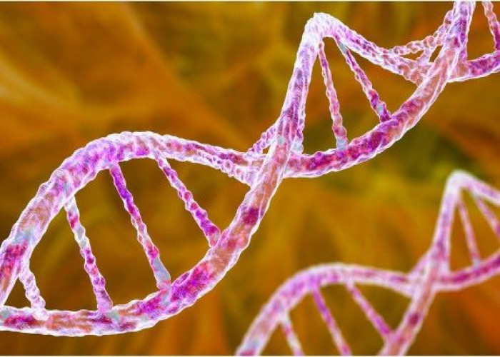 Familial hypercholesterolemia