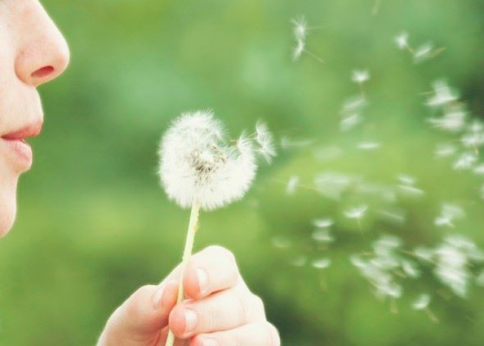 Hay fever