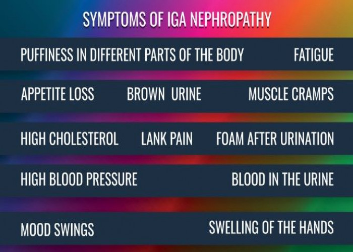 IgA nephropathy (Berger's disease)