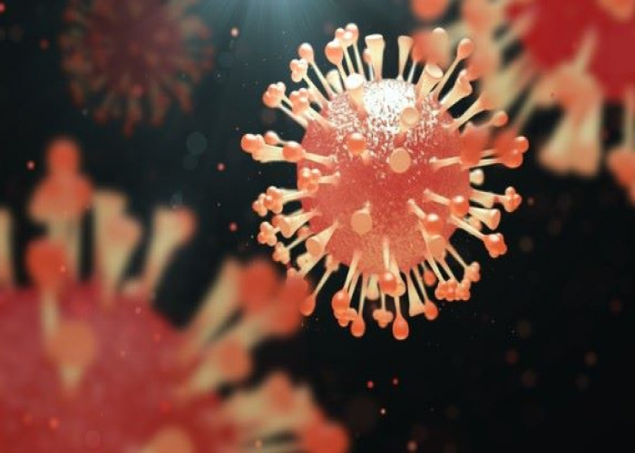 Influenza (flu)