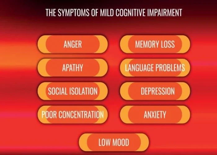 Mild cognitive impairment (MCI)