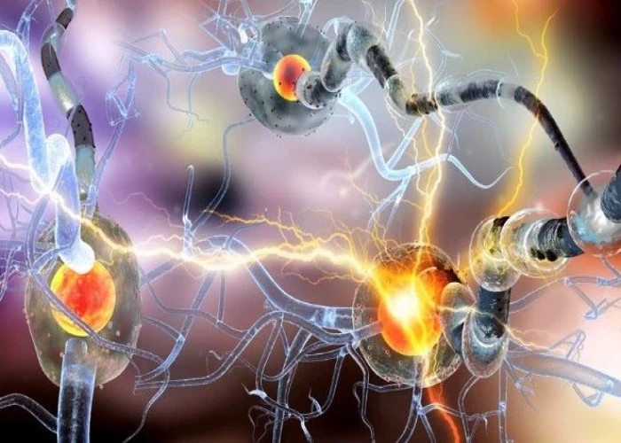 Muscular dystrophy