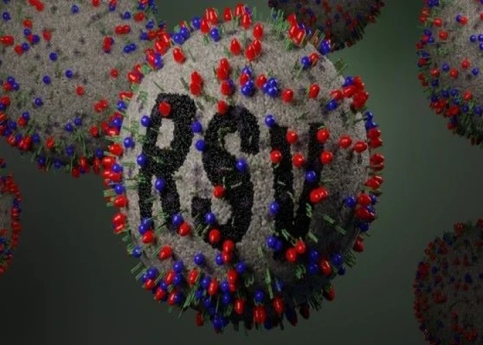 Respiratory syncytial virus (RSV)