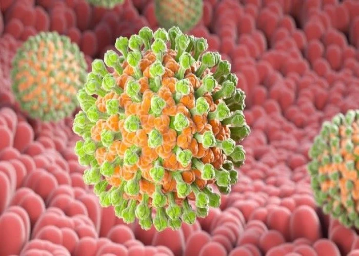 Rotavirus