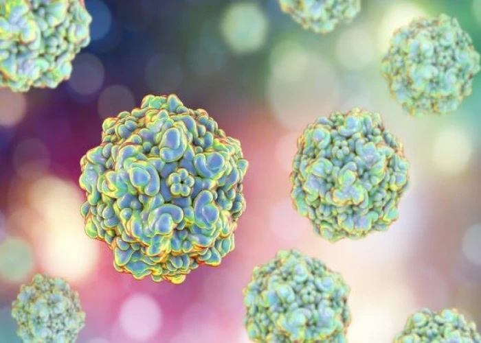 Parvovirus infection