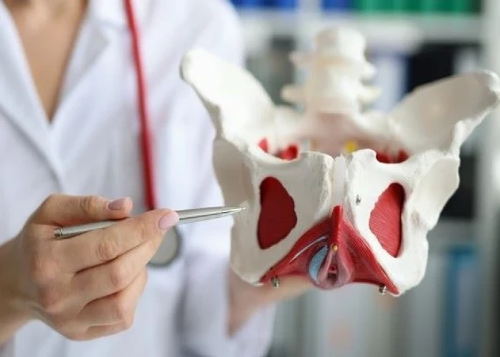 Pelvic organ prolapse