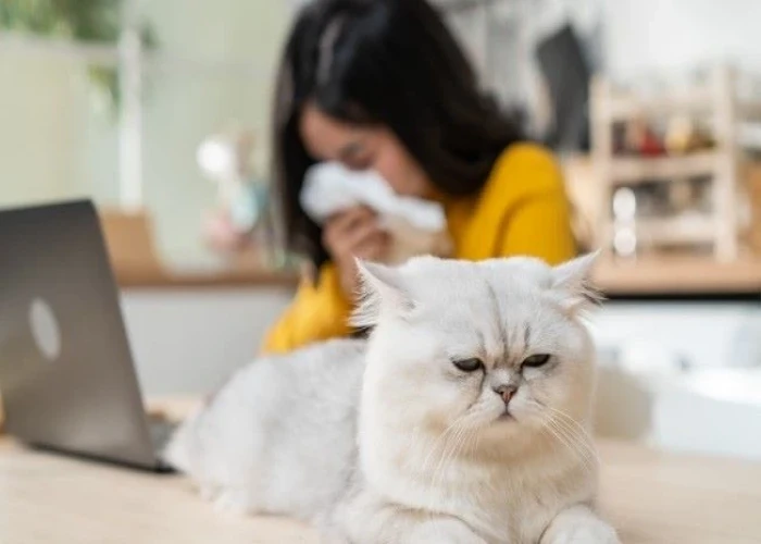 Pet allergy