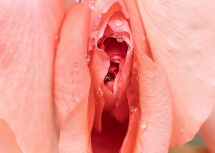 Pruritus Vulva