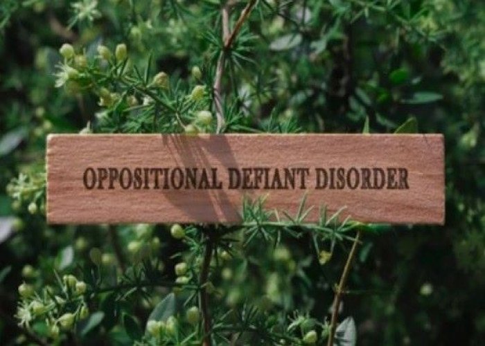 Oppositional defiant disorder (ODD)