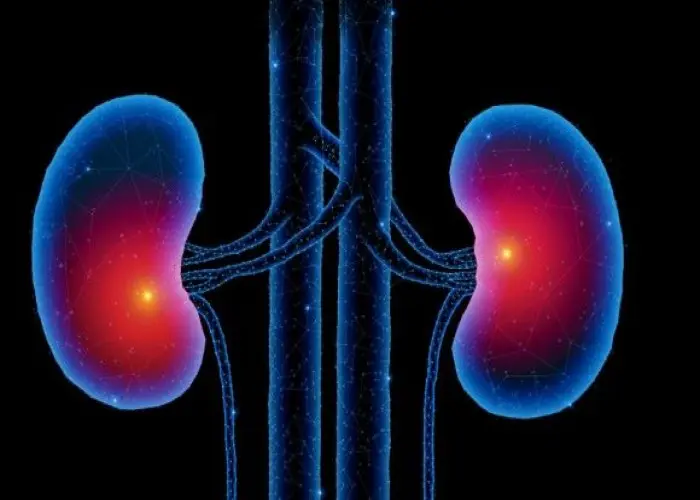 Chronic kidney disease