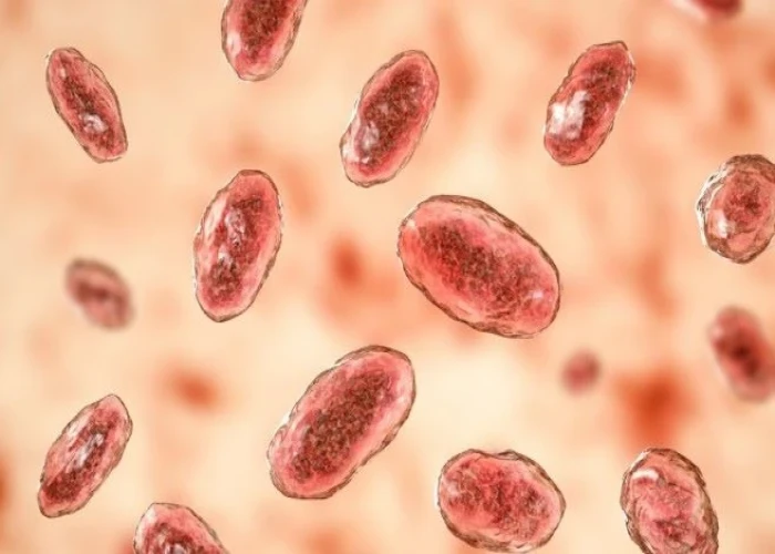 Mesenteric lymphadenitis