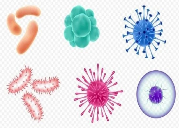 Multisystem inflammatory syndrome in children (MIS-C)