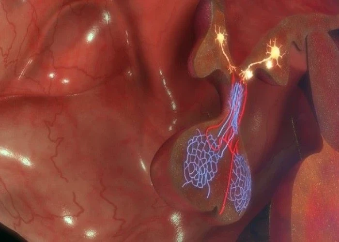 Pituitary tumors