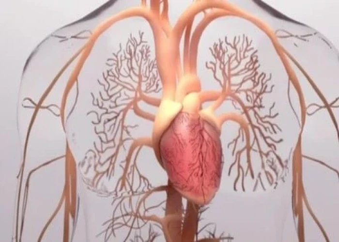 Pulmonary hypertension