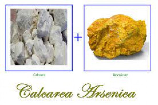 Calcarea arsenica