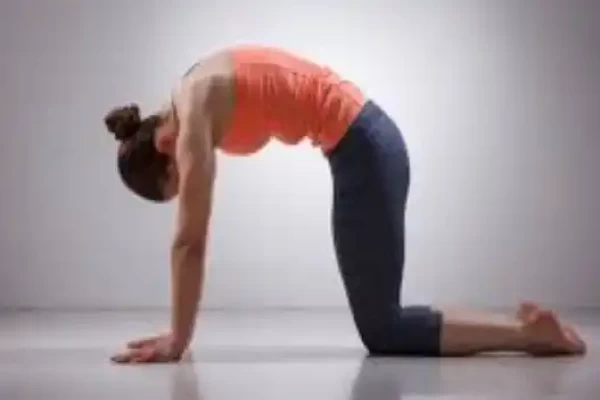 Marjariasana