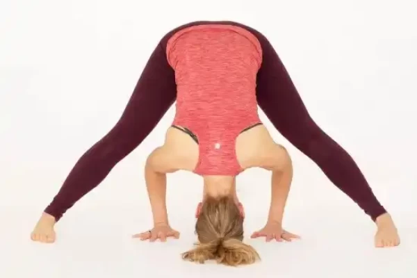 Prasarita Paddotanasana